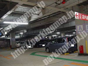 宇治003：イトーヨーカドー六地蔵店駐車場_05